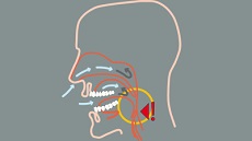 aparat protiv hrkanja