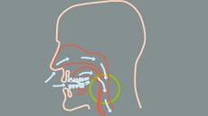 aparat protiv hrkanja